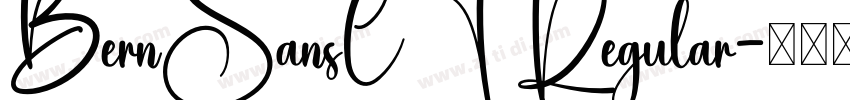 BernSansCT Regular字体转换